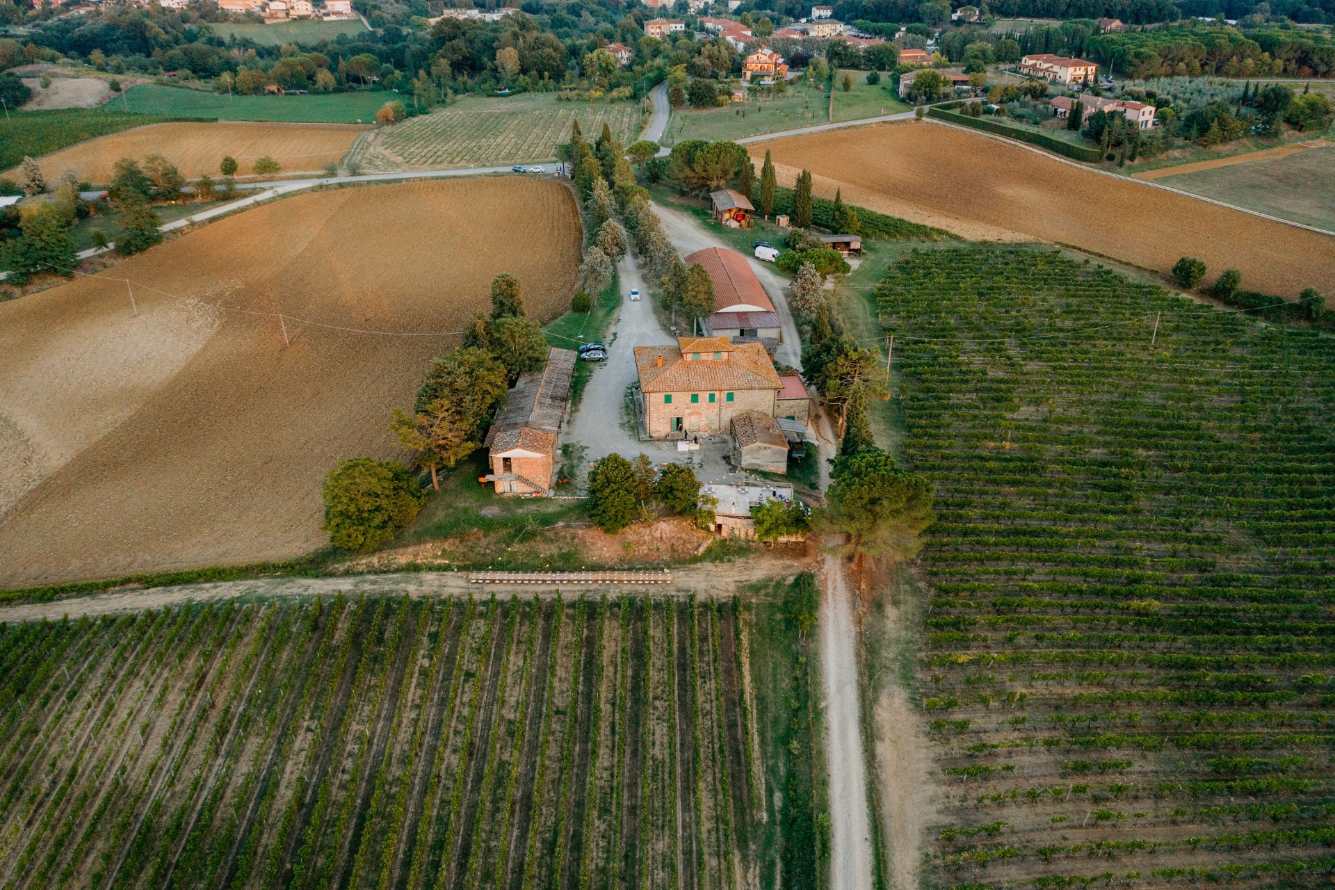 Red wine from Tuscany Italy Best red wine from Tuscany Arezzo Best